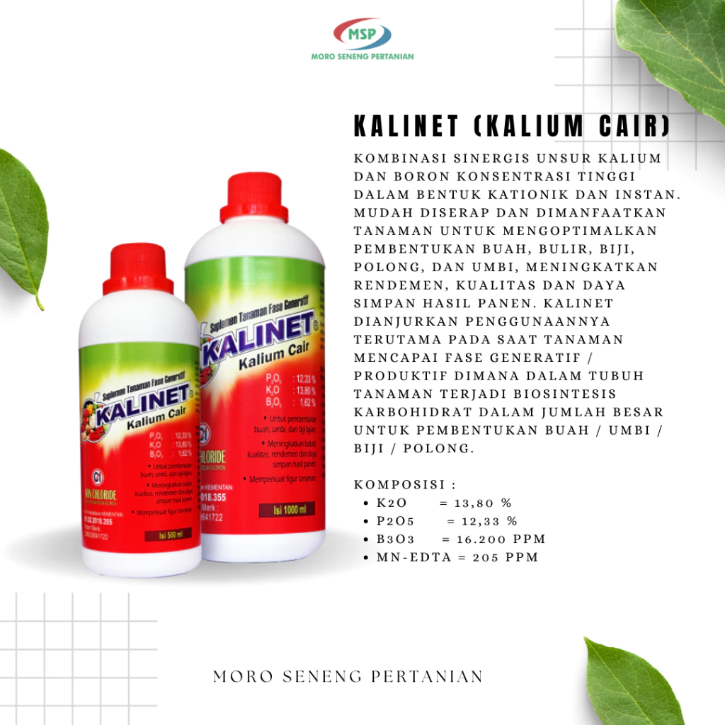 Kalinet